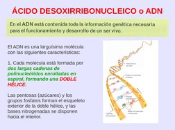 ÁCIDO DESOXIRRIBONUCLEICO o ADN
El ADN es una larguísima molécula 
con las siguientes características:
1. Cada molécula e