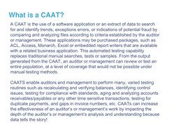 Ccats Database CAATs in Audit Procedures Overview | PDF | Audit | Accounting