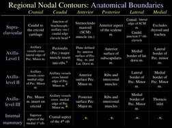 Rtog Rni Atlast RTOG Breast Cancer Contouring Atlas | PDF | Anatomical Terms Of ...