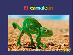 El camaleón

