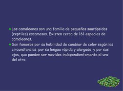 Los camaleones son una familia de pequeños saurópsidos  
(reptiles) escamosos. Existen cerca de 161 especies de  
camaleones.
