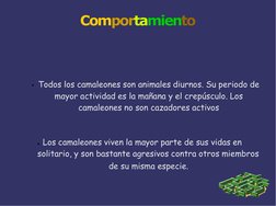 Comportamiento
●Todos los camaleones son animales diurnos. Su periodo de  
mayor actividad es la mañana y el crepúsculo. Los