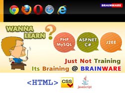 Web Development Basics: HTML, CSS, JS | PDF | Html Element | Html