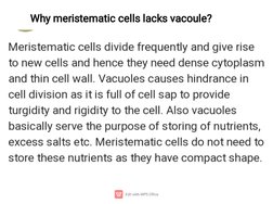 Why meristematic cells lacks vacoule?

