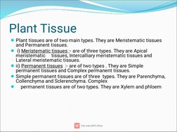 Plant Tissue





Plant tissues are of two main types. They are Meristematic tissues
and Permanent tissues.
 i) Meristem