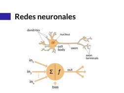 Redes neuronales
