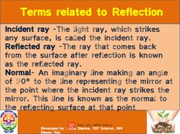 Understanding Light for Class 8 Science | PDF | Reflection (Physics) | Eye