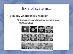  
 
Ex.s of systems..
●Belusov-Zhabotinsky reaction
– Spiral waves of chemical activity in a 
shallow disk
