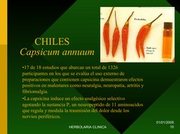 01/01/2005
HERBOLARIA CLINICA
10
CHILES
Capsicum annuum
•17 de 18 estudios que abarcan un total de 1326 
participantes en los