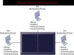 Model of a Typical Executive Support System   
Figure 2-8 

