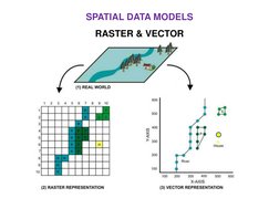 SPATIAL DATA MODELS 
 
RASTER & VECTOR 

