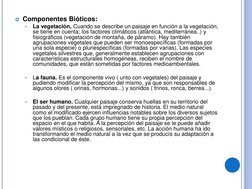 Componentes Bióticos: 
•
La vegetación, Cuando se describe un paisaje en función a la vegetación, 
se tiene en cuenta; los f