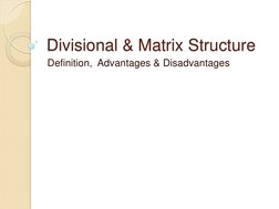 Divisional & Matrix Structure 
Definition,  Advantages & Disadvantages 
