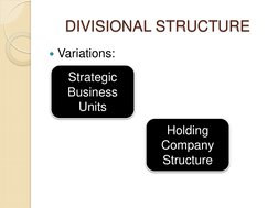 DIVISIONAL STRUCTURE 
Variations: 
Strategic 
Business 
Units 
Holding 
Company 
Structure 

