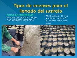 BOLSA DE POLIETILENO. 
Envase de plástico negro 
con agujeros inferiores. 
 
•Profundidad = 15 cms. 
● Volumen = 450 cm3. 
●