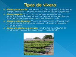 Vivero permanente: Infraestructura fija, cuya duración es de 
tiempo ilimitado. Y se producen varias especies vegetales. 
V