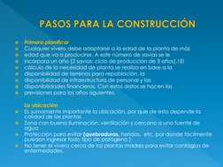 
Primero planificar 

Cualquier vivero debe adaptarse a la edad de la planta de más 

edad que va a producirse. A este núm