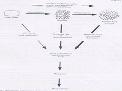 ABSORPTION OF DRUG FORM TABLETS
