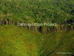 Deforestation Project.pdf Deforestation Project Overview | PDF | Deforestation | Forests