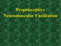 Proprioceptive 
Neuromuscular Facilitation  
 
 
