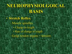 NEUROPHYSIOLGOICAL 
BASIS •Stretch Relfex 
• Stretch Relfex 
– Muscle spindles 
• Change in length  
• Rate of change in leng