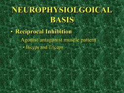NEUROPHYSIOLGOICAL 
BASIS •Reciprocal Inhibition 
• Reciprocal Inhibition 
– Agonist/antagonist muscle pattern 
• Biceps and