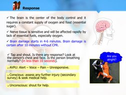  The brain is the center of the body control and it 
requires a constant supply of oxygen and food (essential 
sugar). 
 Ne