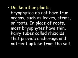 • Unlike other plants, 
bryophytes do not have true 
organs, such as leaves, stems, 
or roots. In place of roots, 
most bryop