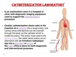 Cath Lab Planning and Design Guide | PDF | Heart | Health Care