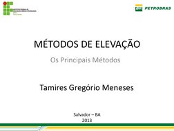  
Tamires Gregório Meneses 
 
MÉTODOS DE ELEVAÇÃO 
Os Principais Métodos 
Salvador – BA 
2013 
