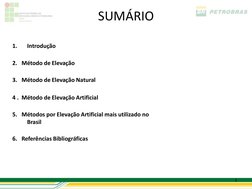 3 
SUMÁRIO 
1.
Introdução 
2.   Método de Elevação 
3.   Método de Elevação Natural 
4 .  Método de Elevação Artificial 
5.