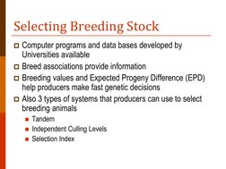 Selecting Breeding Stock 
Computer programs and data bases developed by 
Universities available 
Breed associations provide