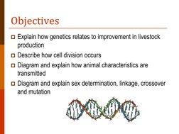 (http://en.wikipedia.org/wiki/File:DNA_Overview2.png)Objectives 
Explain how genetics relates to improvement in livestock