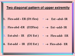 PNF Diagonal Patterns Overview | PDF | Anatomical Terms Of Motion | Foot