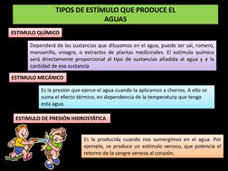 TIPOS DE ESTÍMULO QUE PRODUCE EL  
AGUAS 
Dependerá de las sustancias que diluyamos en el agua, puede ser sal, romero, 
manza