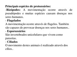 Principais espécies de protozoários: 
-Rizópodes: A movimentação ocorre através de 
pseudópodes e muitas espécies causam doen