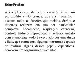 Reino Protista 
 
A complexidade da célula eucariótica de um 
protozoário é tão grande, que ela - sozinha - 
executa todas as