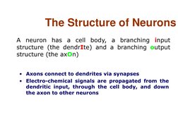 •
Axons connect to dendrites via synapses 
•
Electro-chemical signals are propagated from the 
dendritic input, through the c