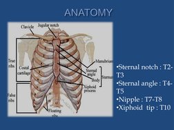 Lordotic and Apicogram Chest X-Ray Guide | PDF | Lung | Thorax