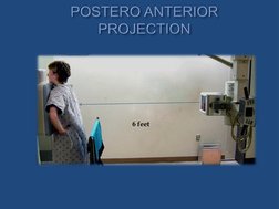 Lordotic and Apicogram Chest X-Ray Guide | PDF | Lung | Thorax