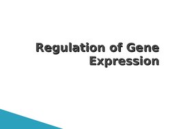 Regulation of Gene 
Regulation of Gene 
Expression
Expression
