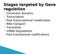 Chromatin domains 
Transcription 
Post-transcriptional modification 
RNA transport 
Translation 
mRNA degradation 
Pos