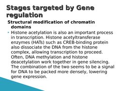 Structural modification of chromatin 
domains
Histone acetylation is also an important process 
in transcription. Histone ac