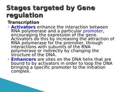 Transcription
Activators enhance the interaction between 
RNA polymerase and a particular promoter, 
encouraging the express