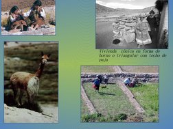 Vivienda  cónica en forma de 
horno o triangular con techo de 
paja
