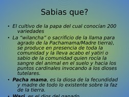 Sabias que?
• El cultivo de la papa del cual conocían 200 
variedades
• La “wilancha” o sacrificio de la llama para 
agrado d
