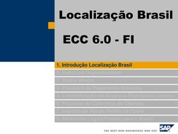 1. Introdução Localização Brasil 
2. Estrutura Organizacional 
3. Dados Mestre 
4. Processo de Pagamento Bancário 
5. Contabi