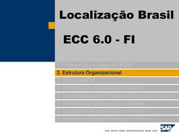 1. Introdução Localização Brasil 
2. Estrutura Organizacional 
3. Dados Mestre 
4. Processo de Pagamento Bancário 
5. Contabi