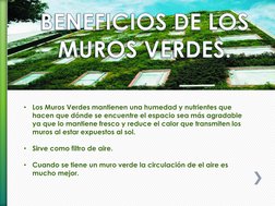 •
Los Muros Verdes mantienen una humedad y nutrientes que 
hacen que dónde se encuentre el espacio sea más agradable 
ya que