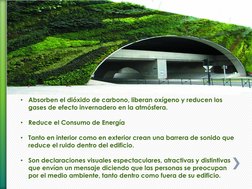 •
Absorben el dióxido de carbono, liberan oxígeno y reducen los 
gases de efecto invernadero en la atmósfera. 
 
•
Reduce el